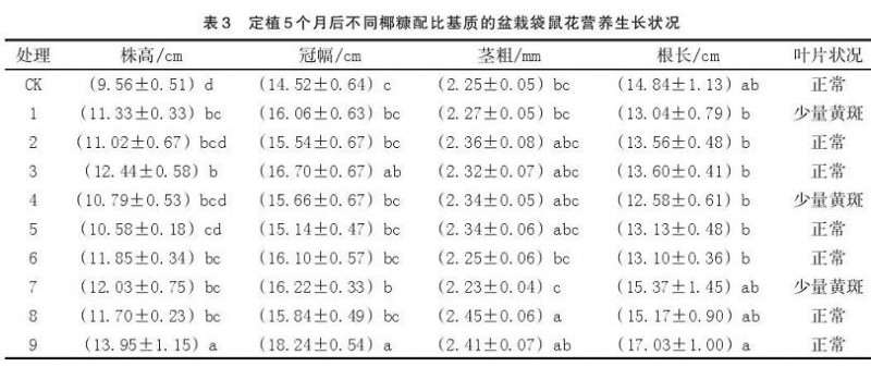 不同椰糠配比对营养生长期盆栽袋鼠花的影响