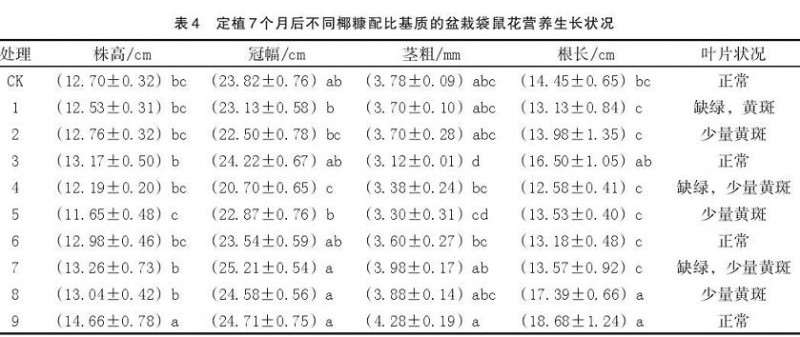 不同椰糠配比对营养生长期盆栽袋鼠花的影响