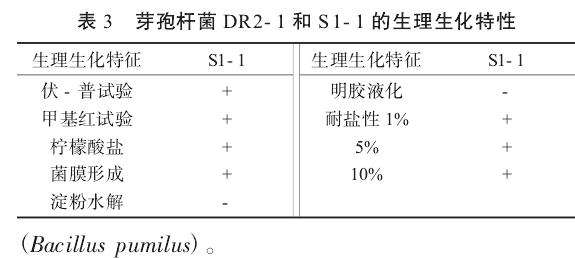 南方根结线虫盆栽试验表