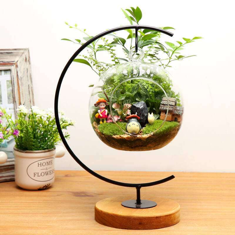 盆栽怎么浇水养护