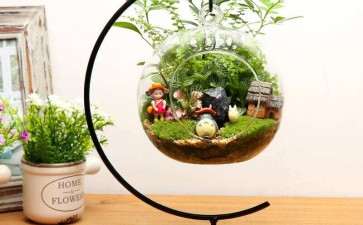 盆栽怎么浇水养护的3个方法