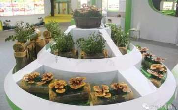 食用菌盆栽在园林景观设计中的应用分析