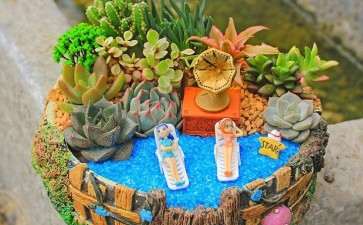 组合盆栽怎么选择生长环境的3个方法