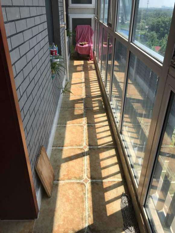 北京高层多肉不能放外挂阳台吗