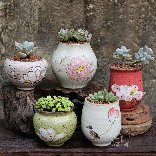 家里多余的多肉花盆如何处理