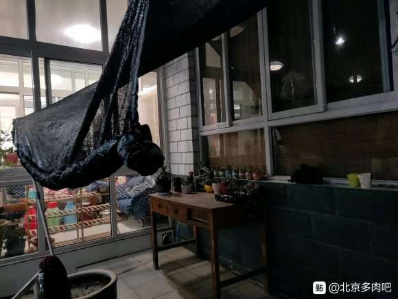 刚给多肉安上遮阳网 是不是太密了