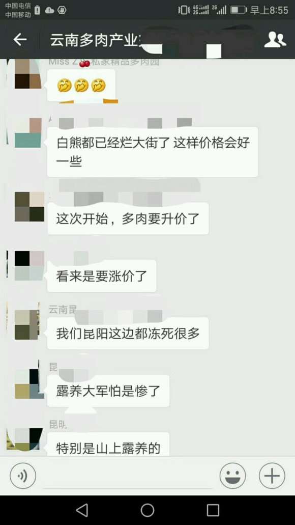 为什么多肉植物涨价了