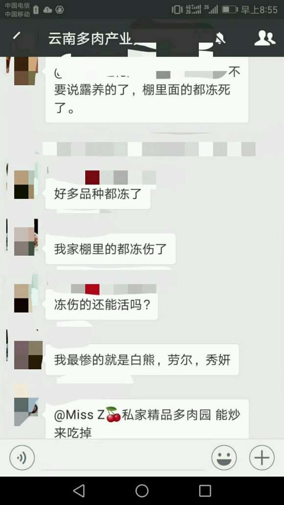 为什么多肉植物涨价了