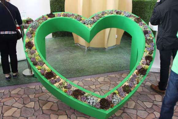 上海不可思议多肉展