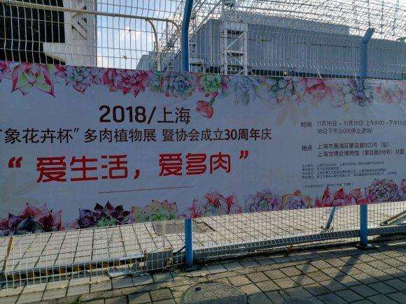 上海万象花卉杯多肉展