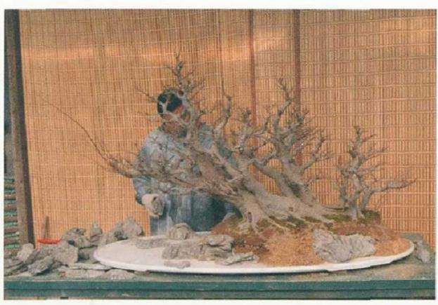 树石盆景《金戈铁马》怎么制作的详解