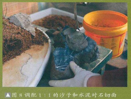 图解 树石盆景《金戈铁马》怎么制作的