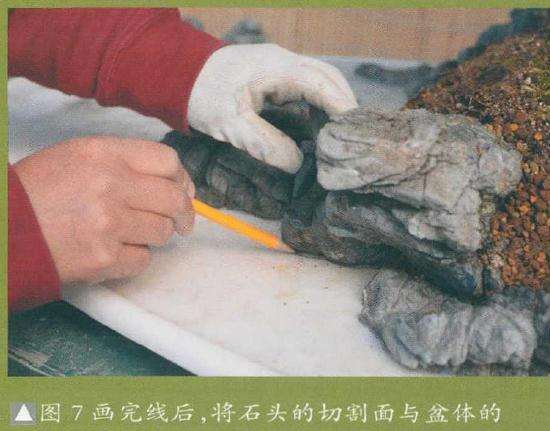 图解 树石盆景《金戈铁马》怎么制作的