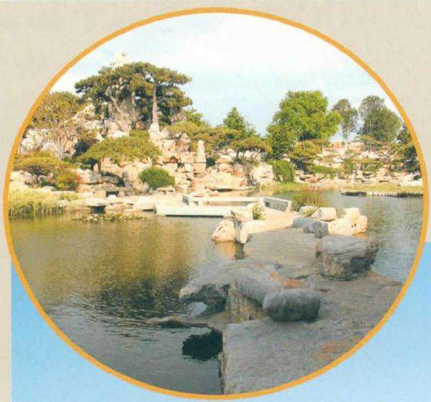 琅琊园连续举办盆景展览活动