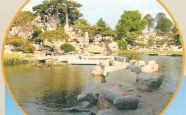 2019年琅琊园连续举办盆景展览活动