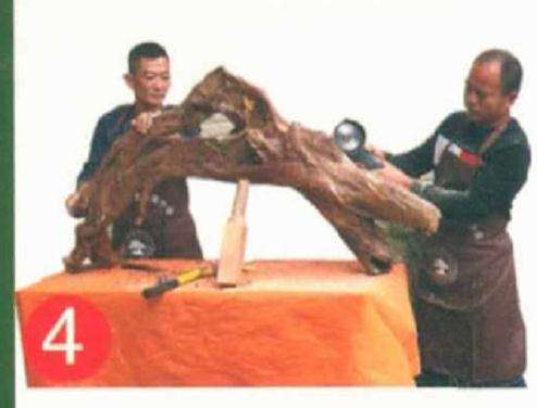 罗汉松盆景怎么靠接的方法