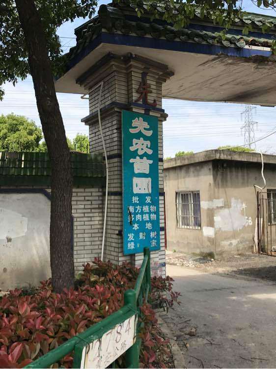 上海先农苗圃的多肉大棚