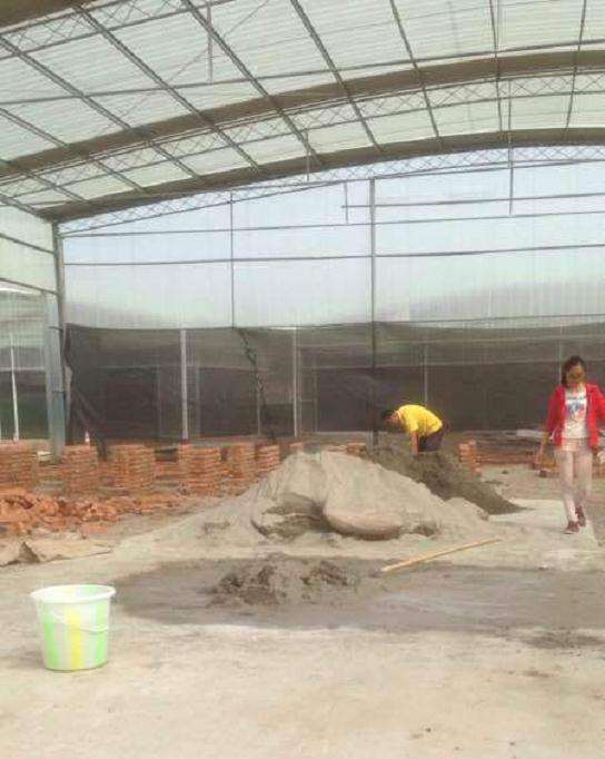 重庆白市驿镇多肉大棚 地址怎么走