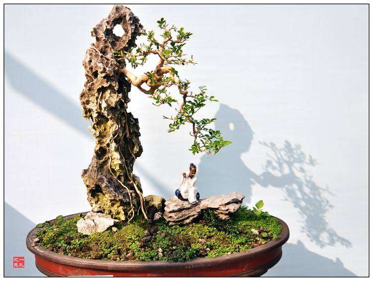 《中国盆景文化史》第二版三部曲