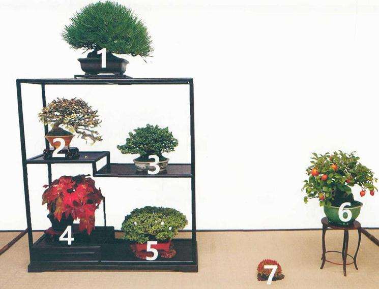 盆景圆形博古架怎么使用的方法