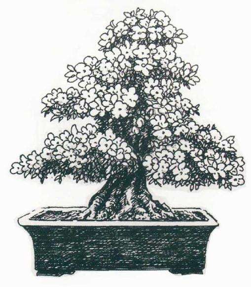 盆景中心线怎么对称均衡的方法