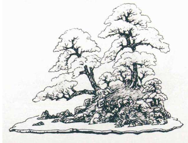 盆景中心线怎么对称均衡的方法