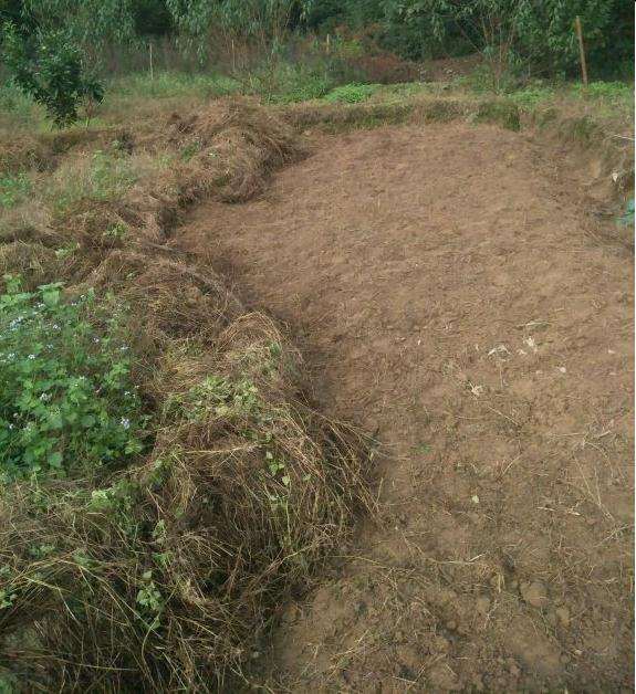 在重庆搭建多肉大棚的第一步