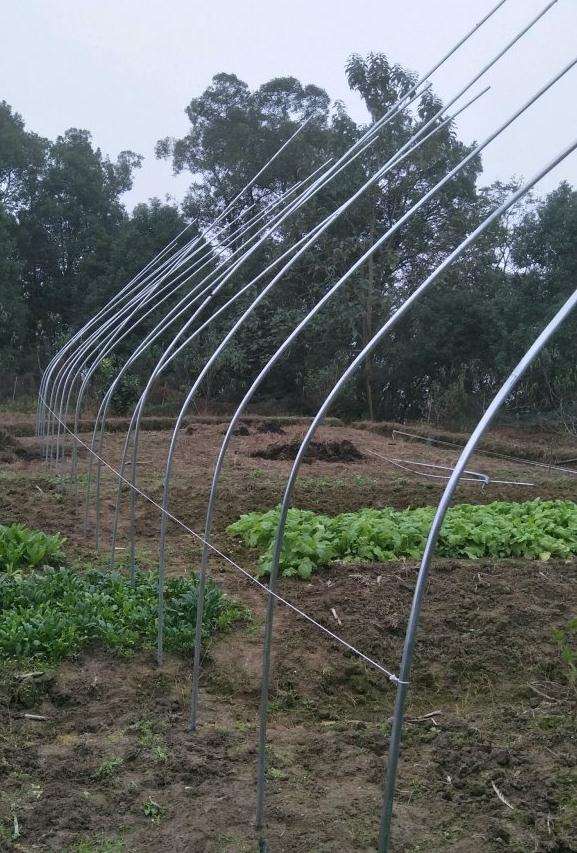 在重庆搭建多肉大棚的第一步