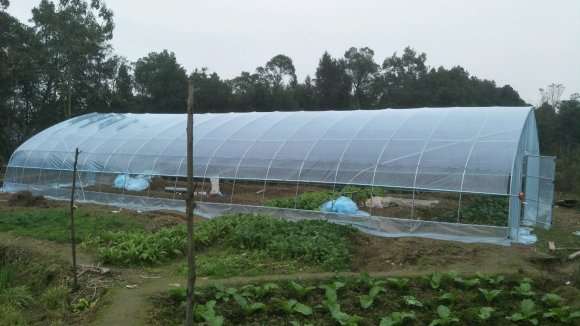 图解 在重庆怎么搭建多肉大棚的过程