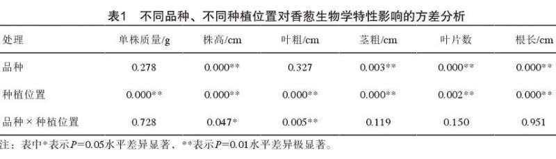家庭香葱盆栽的技术研究