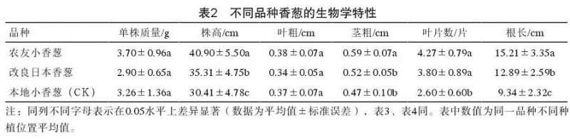 家庭香葱盆栽的技术研究