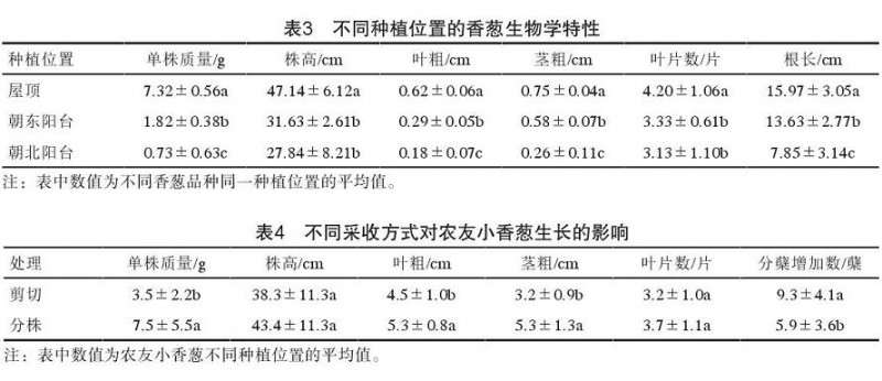 家庭香葱盆栽的技术研究
