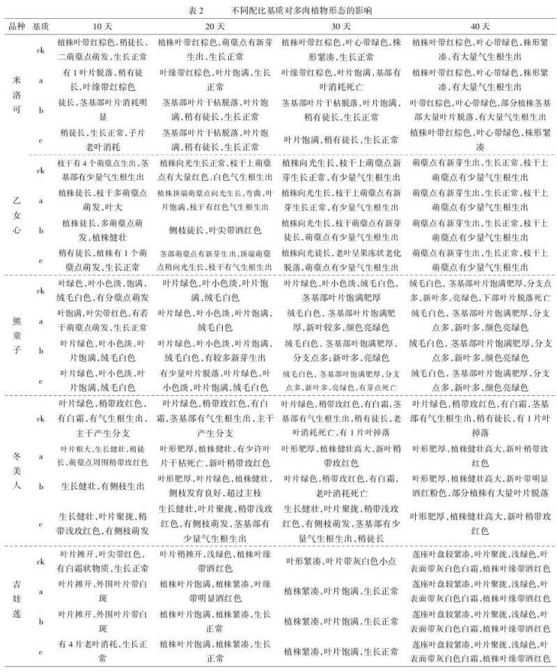 不同配比基质对多肉植物形态的影响