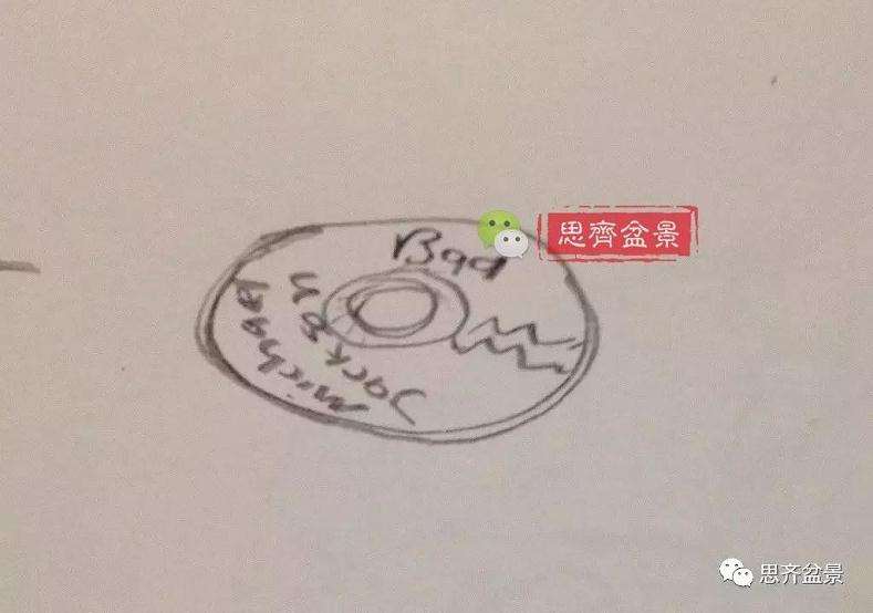 图解 盆景怎么根盘的简易方法