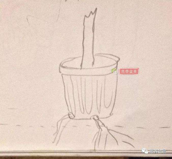 图解 盆景怎么根盘的简易方法