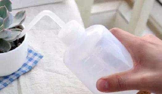 夏季多肉怎么浇水的2个注意事项