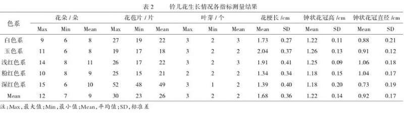 铃儿花有什么特征的调查