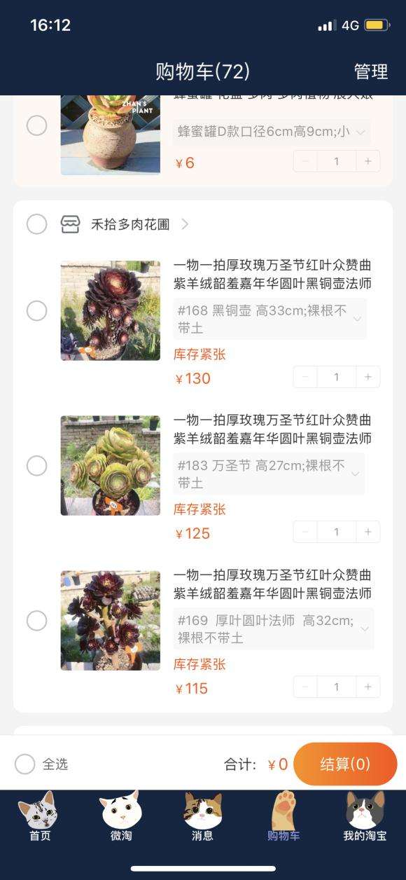 夏天到了 适合入手多肉吗