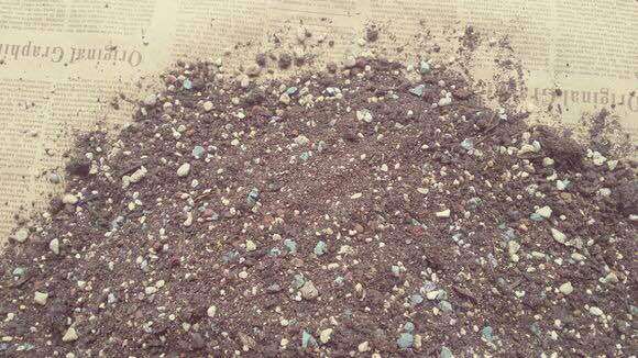 好的土壤 夏天也是多肉的生长季