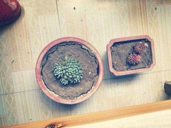 为什么夏天屋里不通风