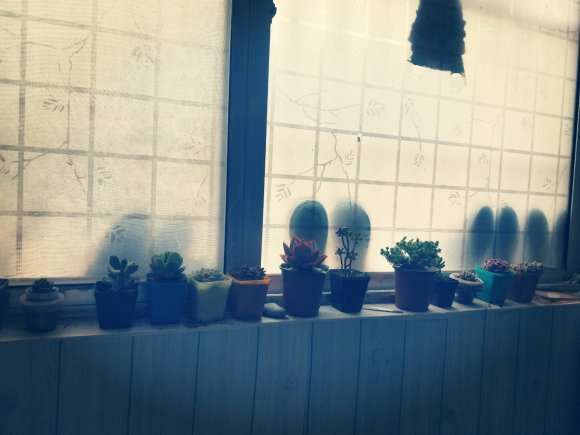 为什么夏天屋里不通风