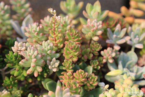 阳光房夏天会很热吧