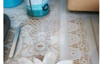 夏季多肉死了 怎么办 看图片