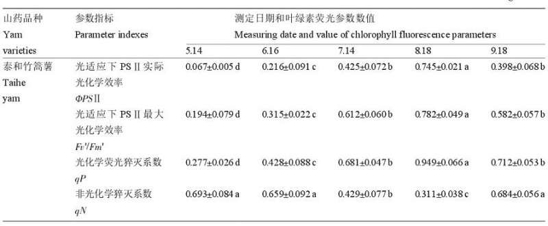 江西地方特色山药盆栽试管苗营养生长期