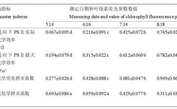 江西地方特色山药盆栽试管苗营养生长期