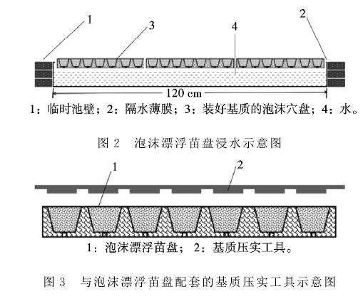 盆栽微型月季怎么扦插育苗