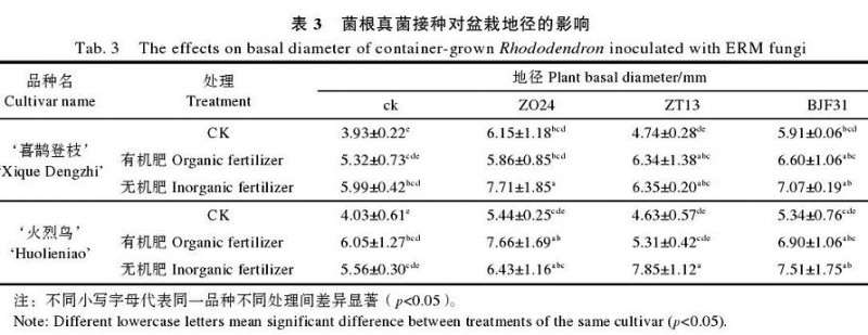 菌根真菌接种对盆栽杜鹃地径生长的影响