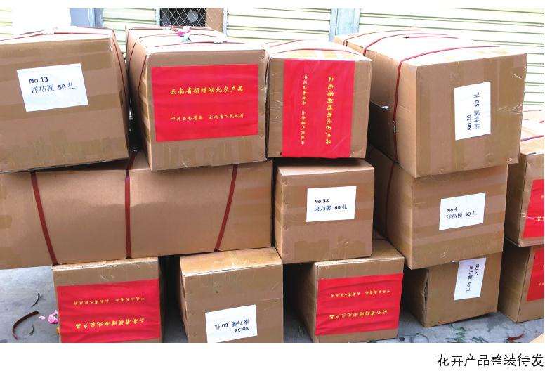 云南省捐赠湖北鲜切花近50万