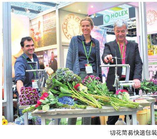 2019年荷兰花卉出口达62亿欧元