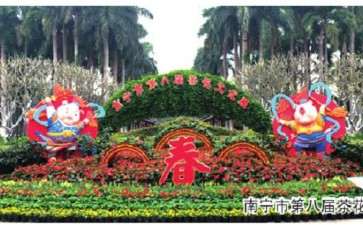 2019年 南宁市第八届茶花文化展